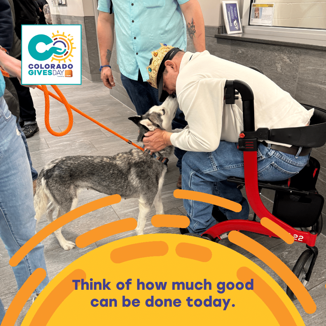 Colorado Gives Day 2025